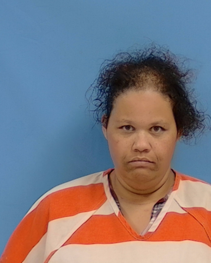 Mugshot of Page Michelle Noggle