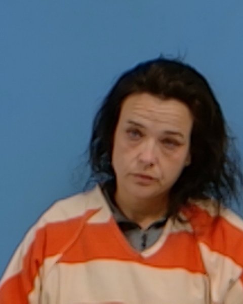 Mugshot of HAYLEY LEANN PALOMAR