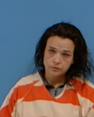Mugshot of HAYLEY LEANN PALOMAR