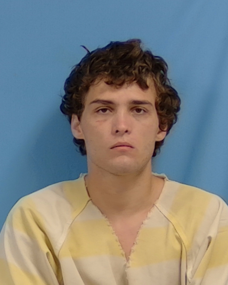 Mugshot of Dolton Taylor Whited