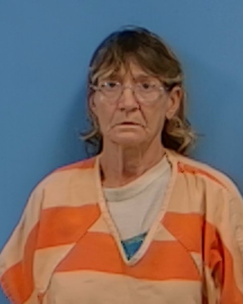 Mugshot of Dionne Starr Duncan