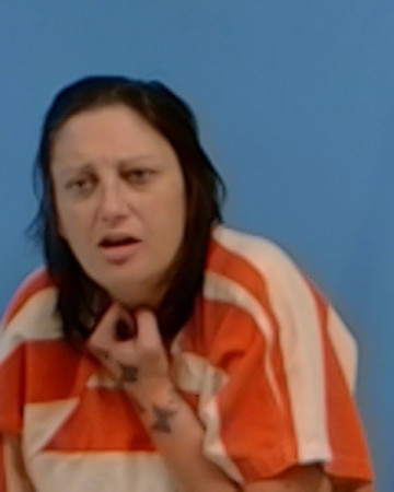 Mugshot of Katherine Nicole Landis