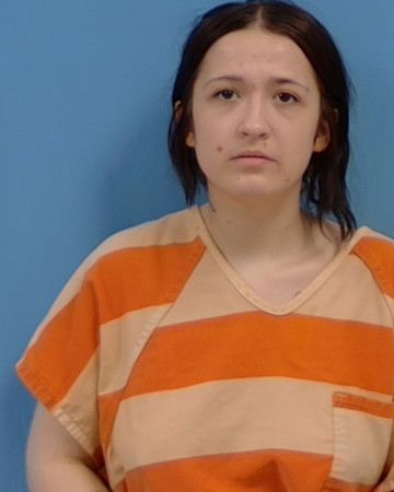 Mugshot of Cheyenne Nichole Elkins