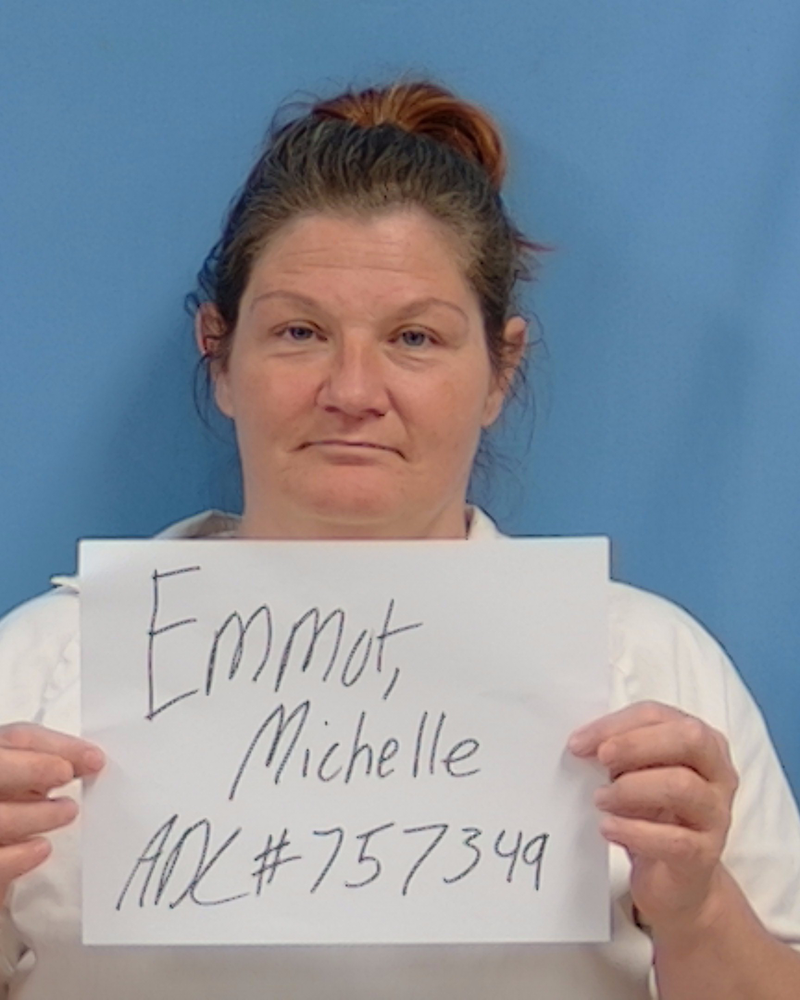 Mugshot of Michelle Lee Emmot