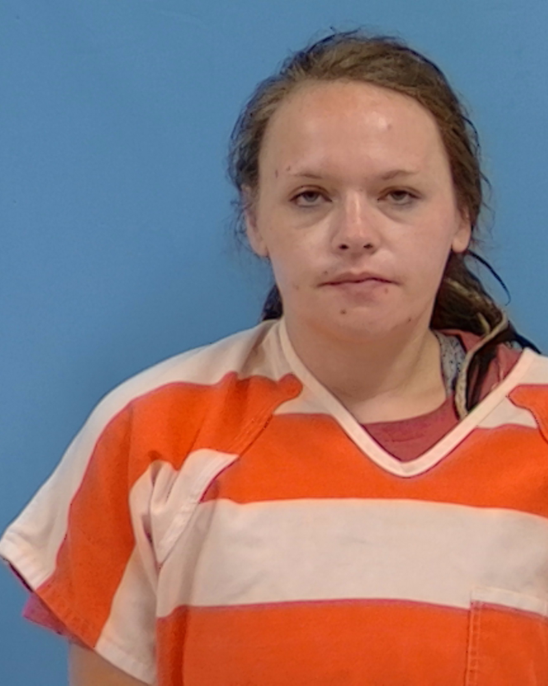 Mugshot of Heather Patterson