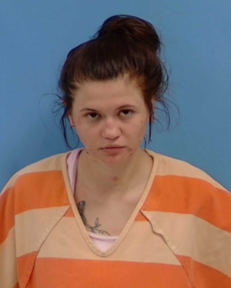 Mugshot of Sarah Lindsey Coughlin