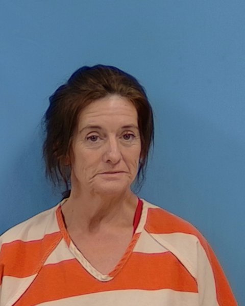 Mugshot of Diane Michelle Miller