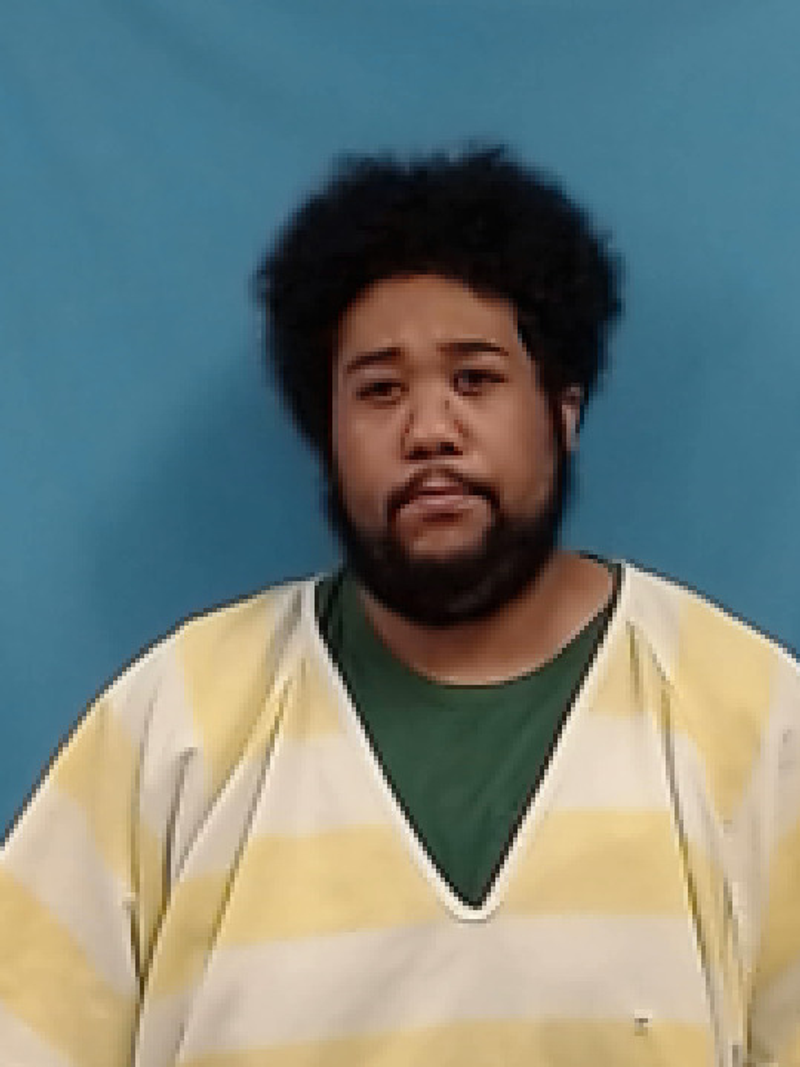 Mugshot of Jamie Lee Armstrong