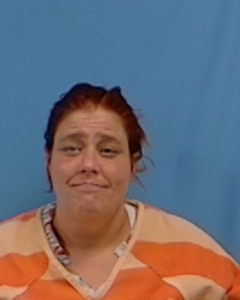 Mugshot of Melissa Frances Johnston