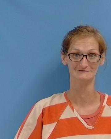 Mugshot of Sherry Lynn Boulanger