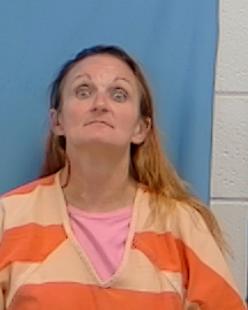 Mugshot of Amanda Gay Whitehead