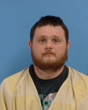Mugshot of Ricky Bo Lowery
