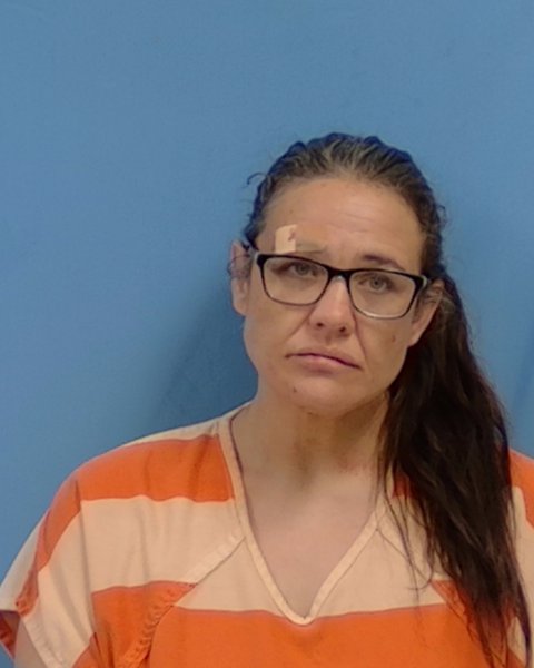 Mugshot of Amanda J Burmingham