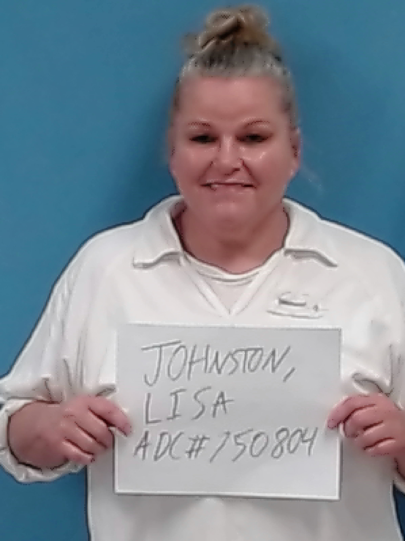 Mugshot of Lisa Renee Johnston