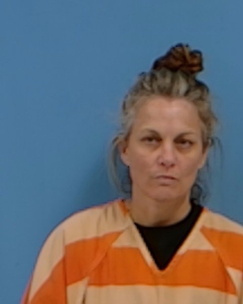 Mugshot of Erika Lorene Shirley