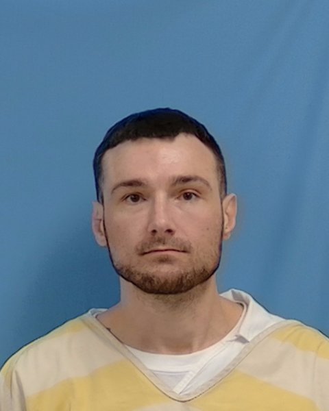Mugshot of Michael Cobb Mcnabb