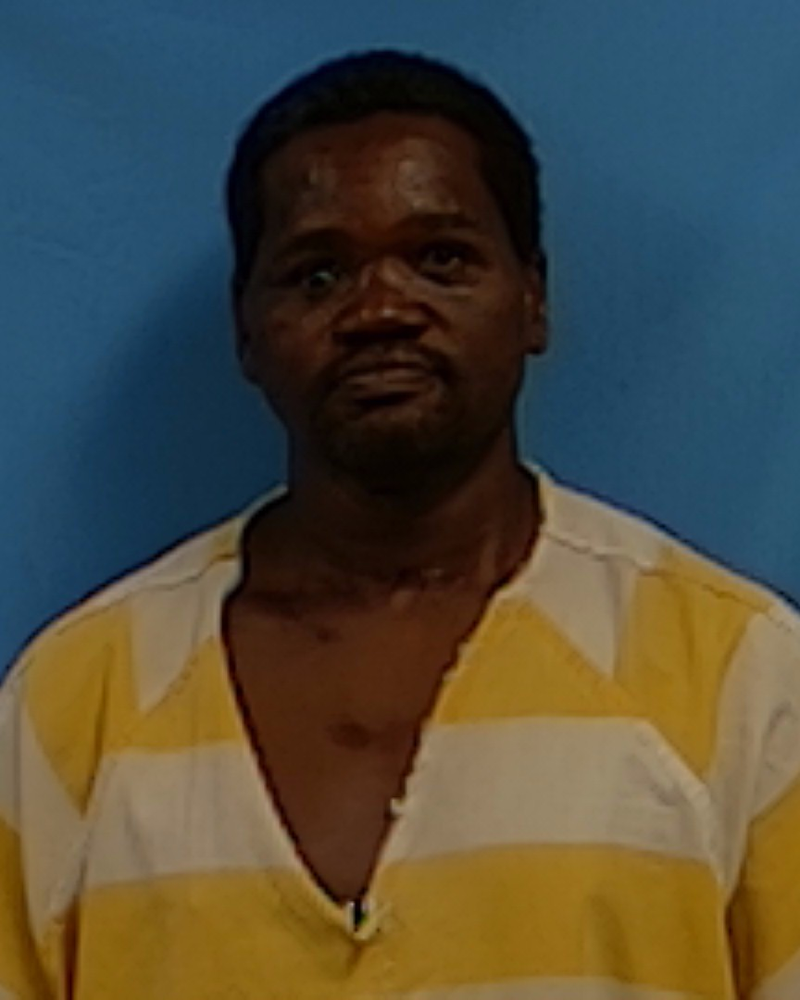 Mugshot of Randall Scott Brunson