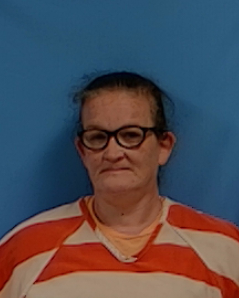 Mugshot of Melissa Dawn Porter
