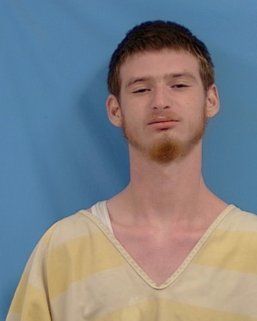 Mugshot of Bryan Anthony James Adams