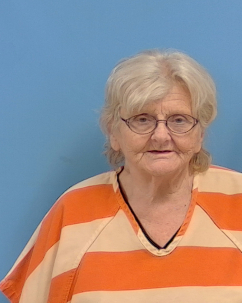 Mugshot of Lisa Thomas