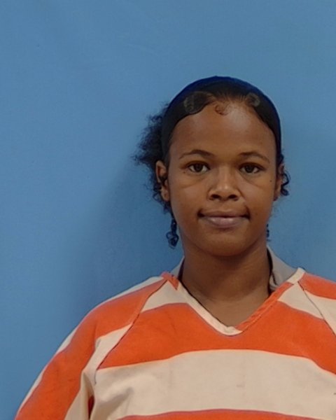 Mugshot of chrustion elizabeth foreman