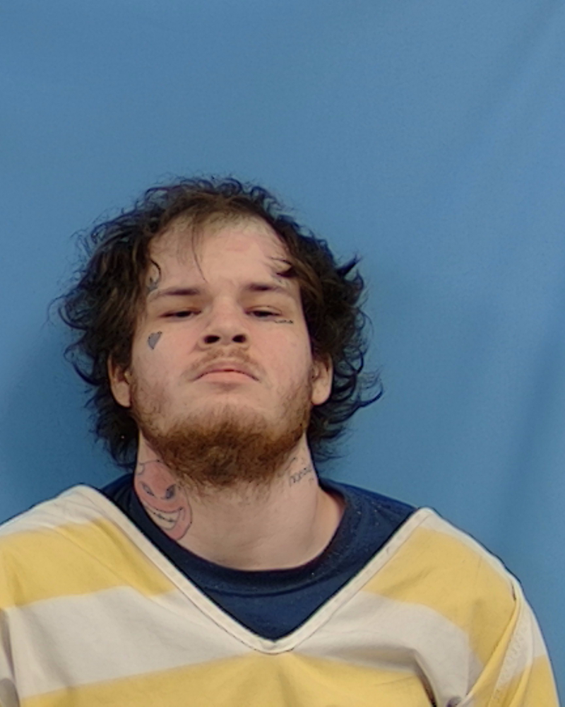 Mugshot of NIKOLAS DAMION GASKIN