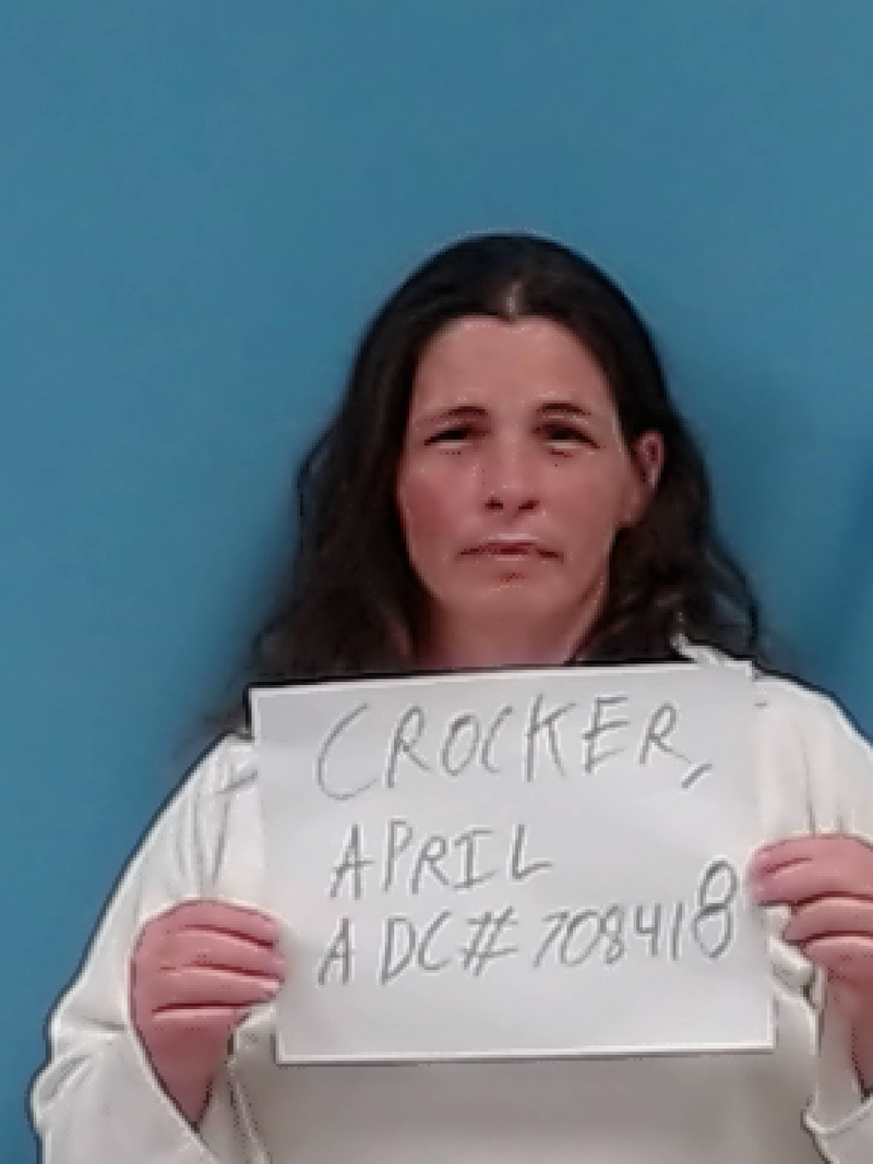 Mugshot of April Crocker