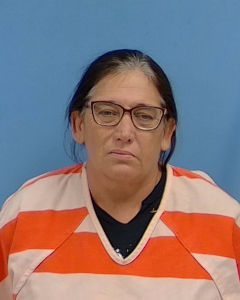 Mugshot of Jill Ann Graves