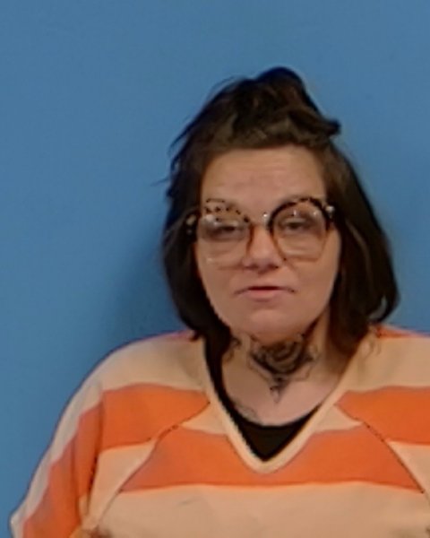 Mugshot of Brandy Marie Halton