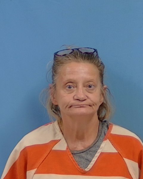 Mugshot of Kelly Lynn Wilson
