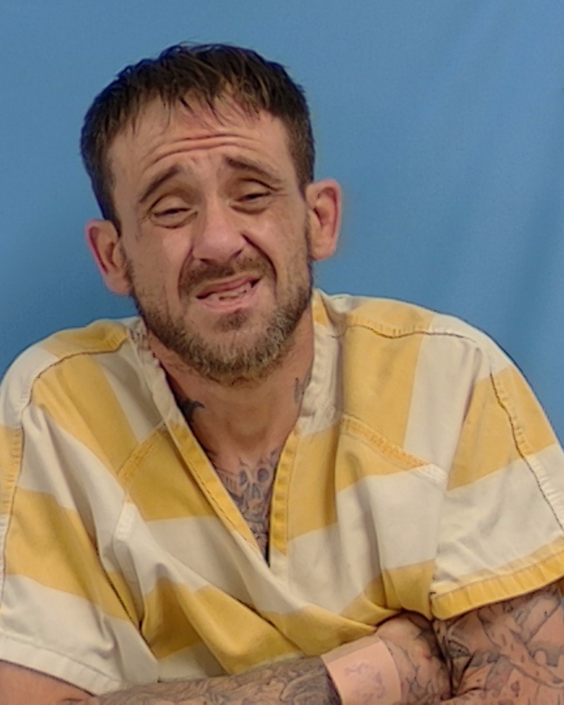 Mugshot of Patrick White
