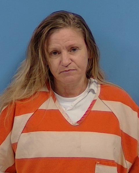 Mugshot of Cieannrea M McDonald