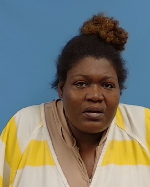 Mugshot of Diterria D Lowe