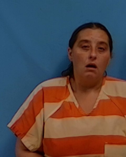 Mugshot of April Kelly Adkins