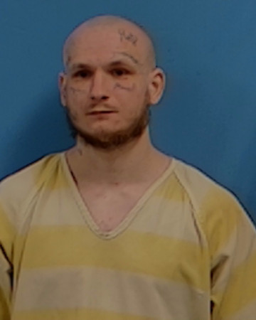 Mugshot of Christopher Lee Flannigon