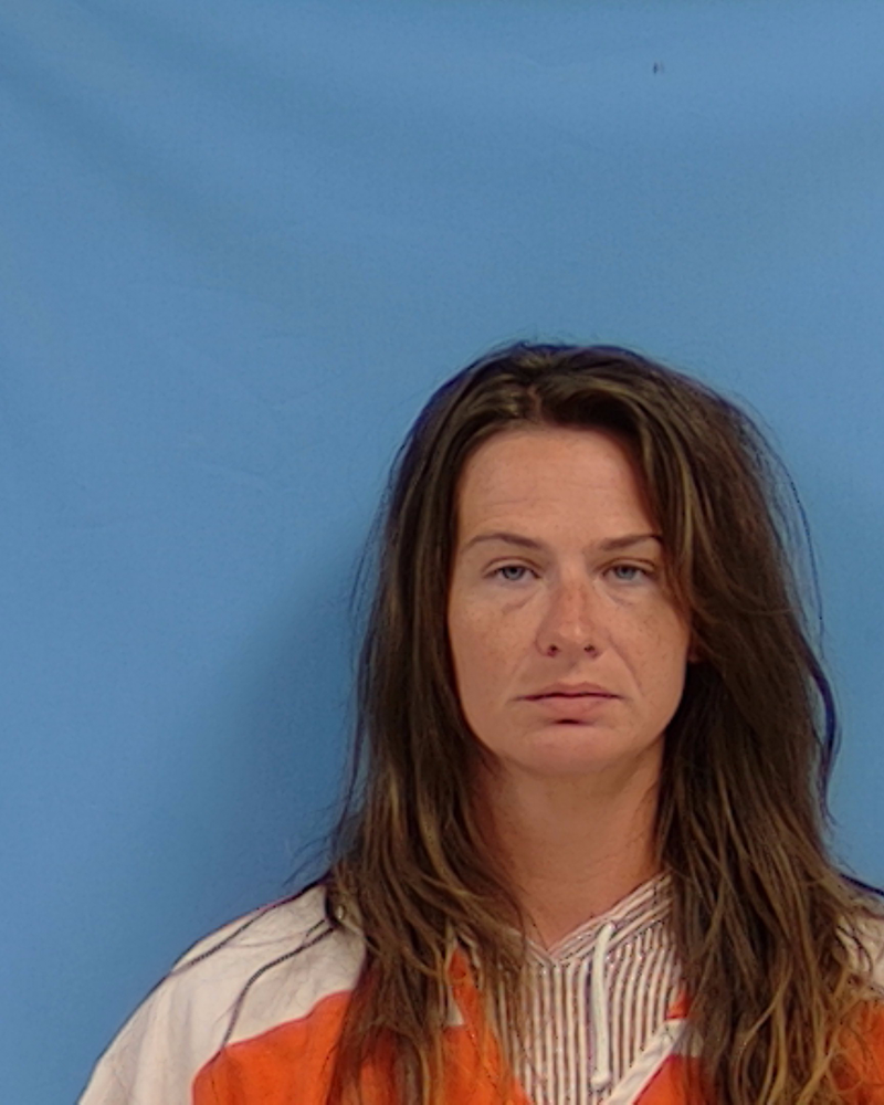 Mugshot of Ashley Nicole Mckinney