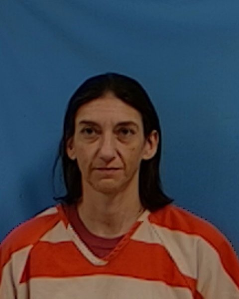 Mugshot of Amanda Lynette Callens
