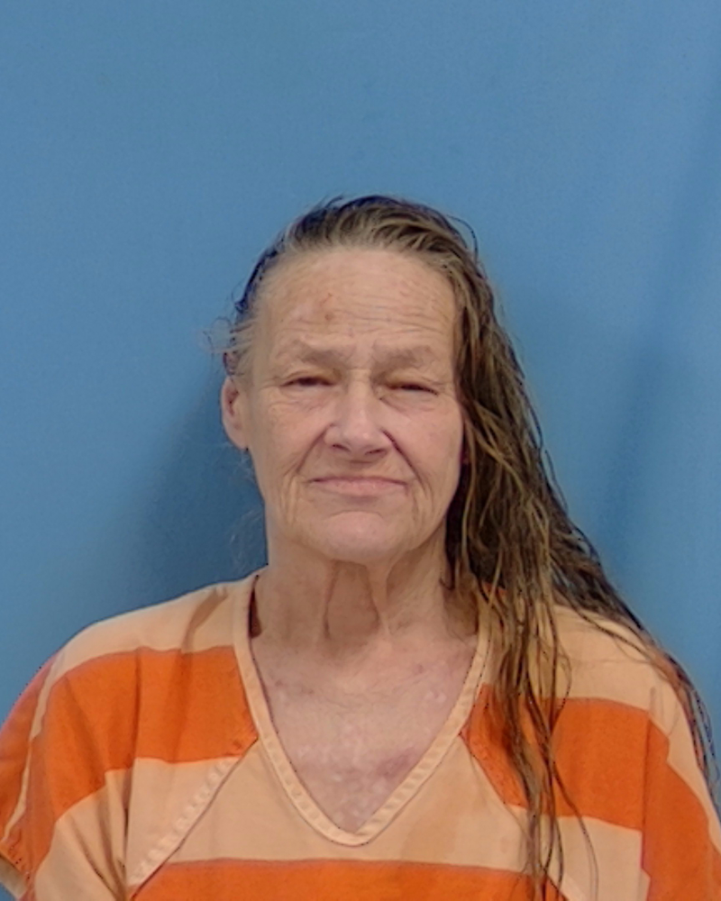 Mugshot of Deborah Dianne Winnett