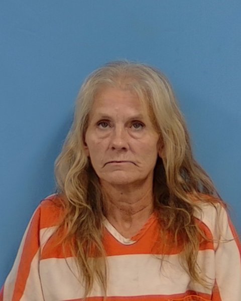 Mugshot of Loretta Ann Horn