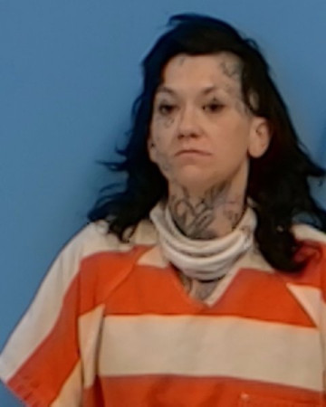 Mugshot of Juanita Cornett