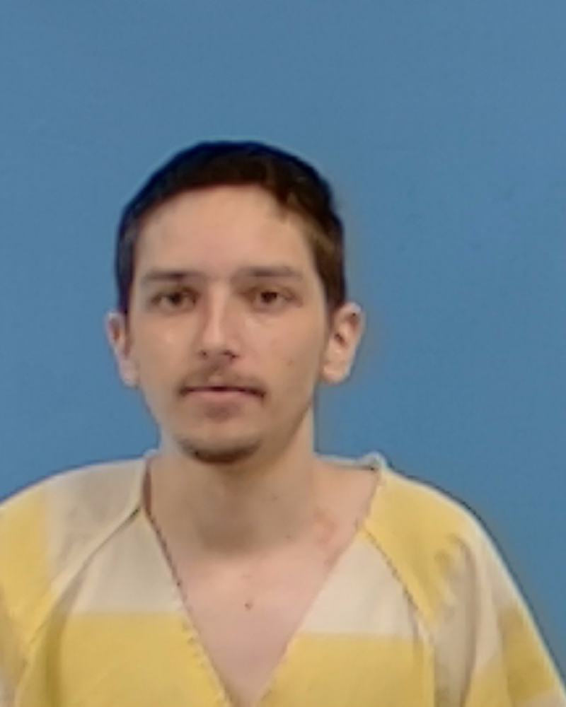 Mugshot of William McKinley Morrison
