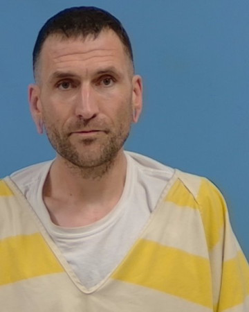 Mugshot of Cassidy Romine