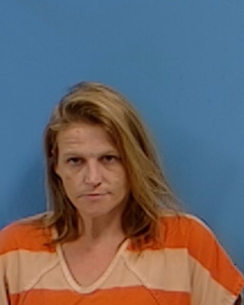 Mugshot of Elizabeth N Willis