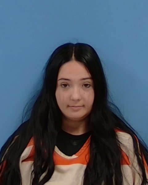 Mugshot of nancy lynn ehlers