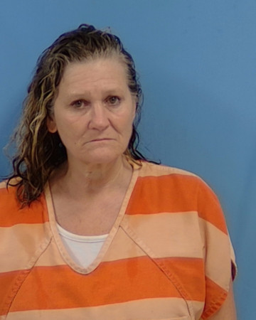Mugshot of Brenda J Urso