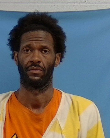 Mugshot of Jamie Lynn Decker
