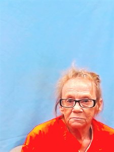 Mugshot of Vickie Lynn Baskin