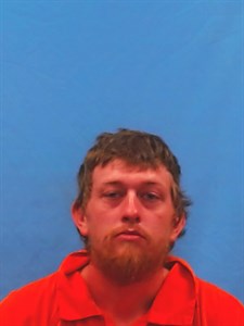Mugshot of Prestin Bryant Collins