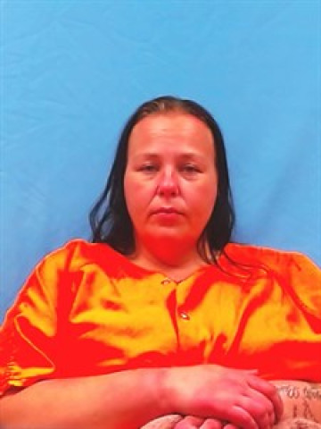 Mugshot of Hollie Crook