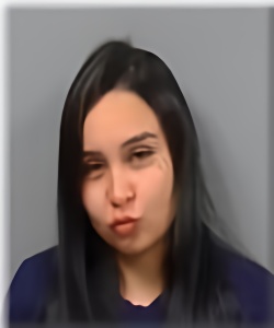 Mugshot of Misty Decoteau